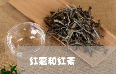 红薯和红茶/2023090279581