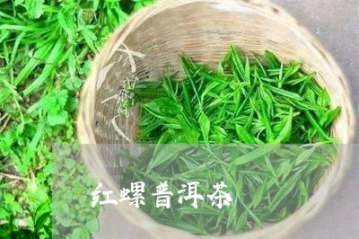 红螺普洱茶/2023090522149