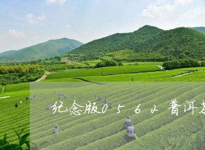 纪念版0562普洱茶/2023080273958