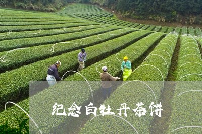 纪念白牡丹茶饼/2023060831526