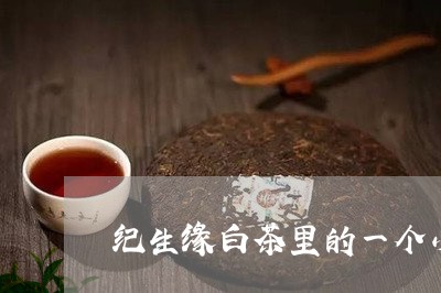 纪生缘白茶里的一个小工具/2023111085058