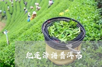 纪连海讲普洱茶/2023112635260