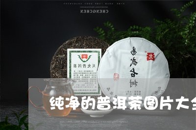 纯净的普洱茶图片大全大图/2023121816259