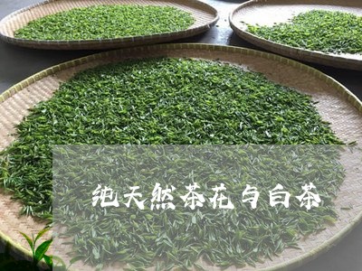 纯天然茶花与白茶/2023070858693