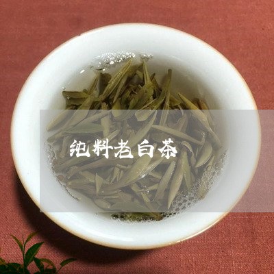 纯料老白茶/2023051126059