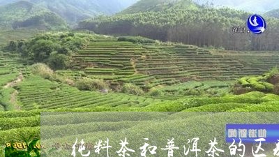 纯料茶和普洱茶的区别/2023062398260