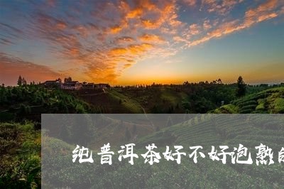 纯普洱茶好不好泡熟的茶叶/2023110893904