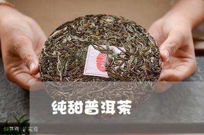 纯甜普洱茶/2023102578382