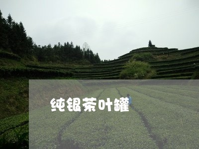 纯银茶叶罐/2023041758526