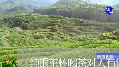 纯银茶杯喝茶对人有什么好处/2023052695948