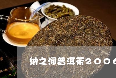 纳之润普洱茶2006/2023100733818