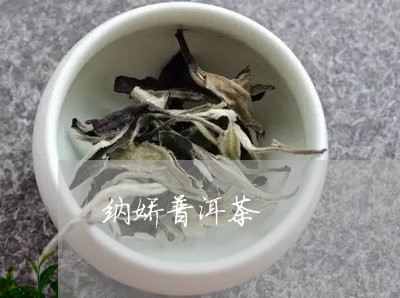 纳娇普洱茶/2023090659280