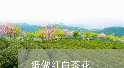 纸做红白茶花/2023052352925