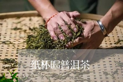 纸杯喝普洱茶/2023110325047