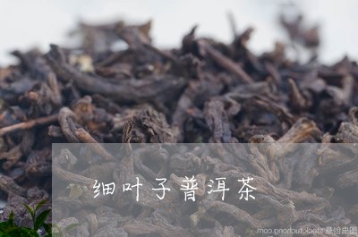 细叶子普洱茶/2023042607261