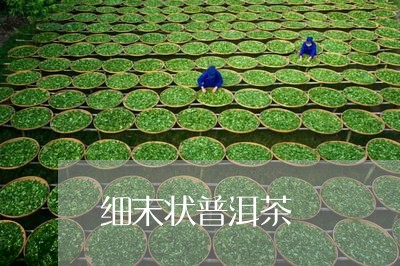 细末状普洱茶/2023042598838