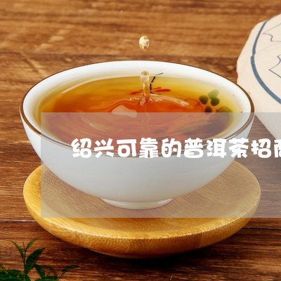 绍兴可靠的普洱茶招商/2023092566240