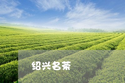 绍兴名茶/2023121971526