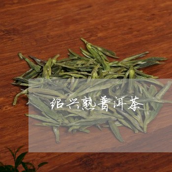 绍兴熟普洱茶/2023042826663