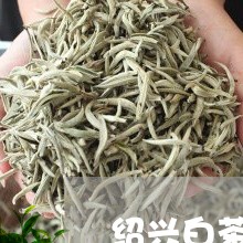 绍兴白茶茶叶茶楼/2023070892737