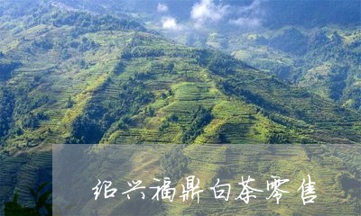 绍兴福鼎白茶零售/2023112613525