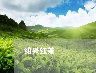 绍兴红茶/2023121936058