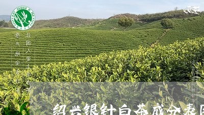 绍兴银针白茶成分表图片/2023110393925