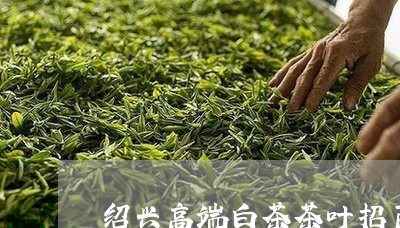 绍兴高端白茶茶叶招商代理/2023042722958