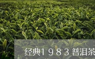 经典1983普洱茶多少钱/2023082583048