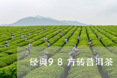 经典98方砖普洱茶/2023080238168