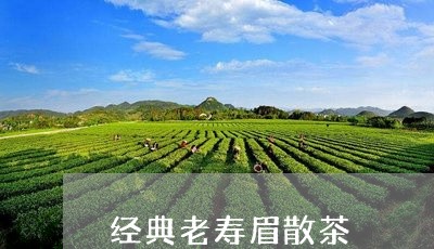 经典老寿眉散茶/2023112427131