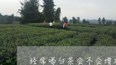 经常喝白茶会不会增加人体湿气/2023111466371