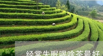 经常失眠喝啥茶最好/2023042069581