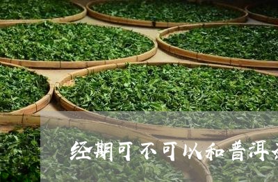 经期可不可以和普洱茶/2023092676948