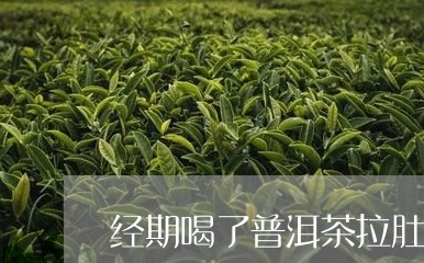 经期喝了普洱茶拉肚子/2023080322604