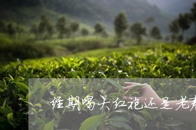 经期喝大红袍还是老寿眉好/2023062797280