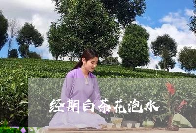 经期白茶花泡水/2023060951583