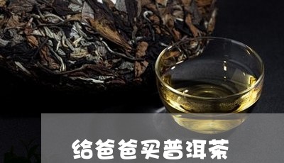 给爸爸买普洱茶/2023102605949