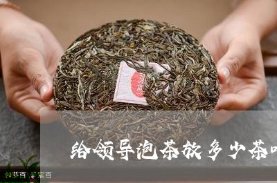 给领导泡茶放多少茶叶/2023061114036