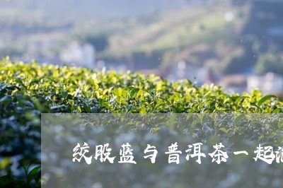 绞股蓝与普洱茶一起泡茶吗/2023051048481