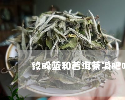 绞股蓝和普洱茶减肥吗/2023080305268