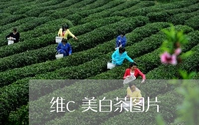 维c美白茶图片/2023060968593