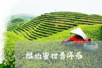 维他蜜柑普洱茶/2023110839371