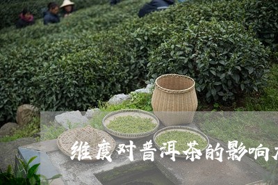 维度对普洱茶的影响大吗/2023110177262