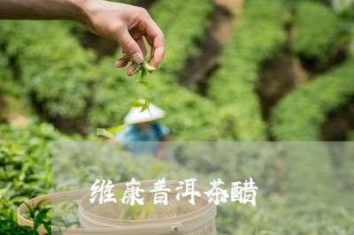 维康普洱茶醋/2023081509628