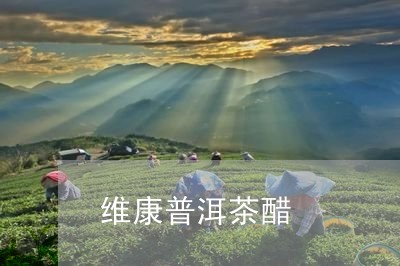 维康普洱茶醋/2023101669484