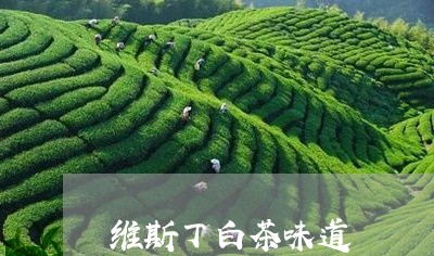 维斯丁白茶味道/2023060936938