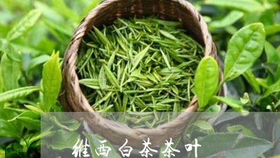 维西白茶茶叶/2023052381606