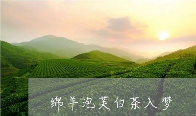 绵羊泡芙白茶入梦/2023070704160