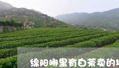 绵阳哪里有白茶卖的地方/2023110288305